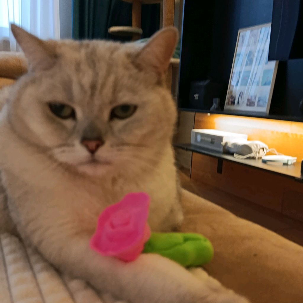 Иконка канала Eva