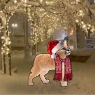 Иконка канала Рика шляйх