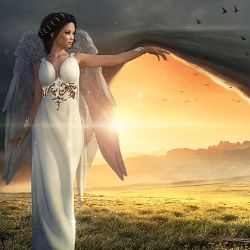 Иконка канала Здоровое долголетие в изобилии