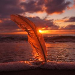 Иконка канала Михаил Саямов  [Музыка и Поэзия]