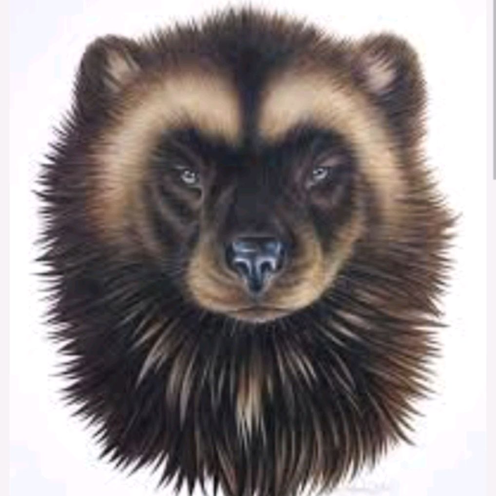 Иконка канала Карлосон