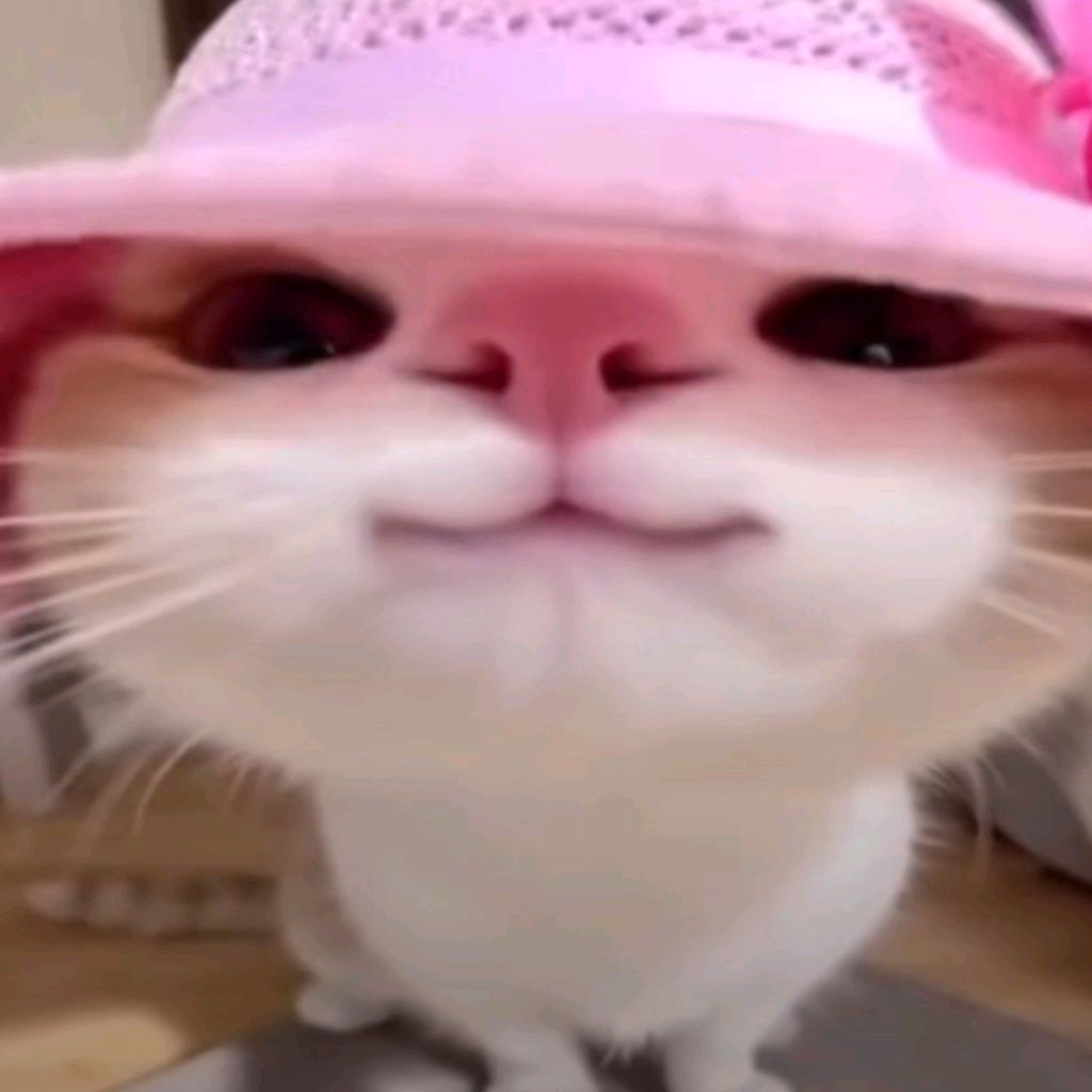 Иконка канала Быр Быр Патапим