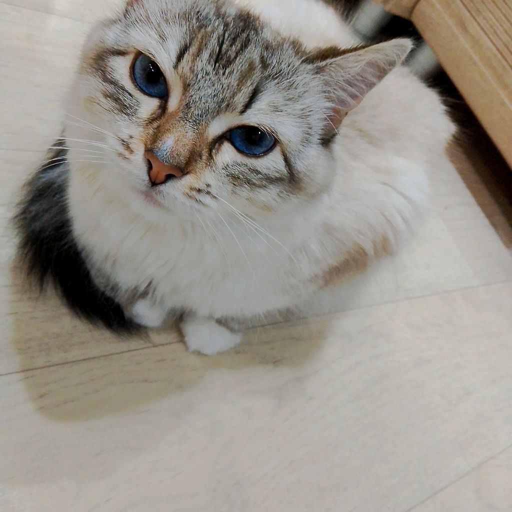 Иконка канала channel74236742