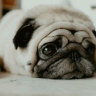 Иконка канала Люана Люда 🤟💓