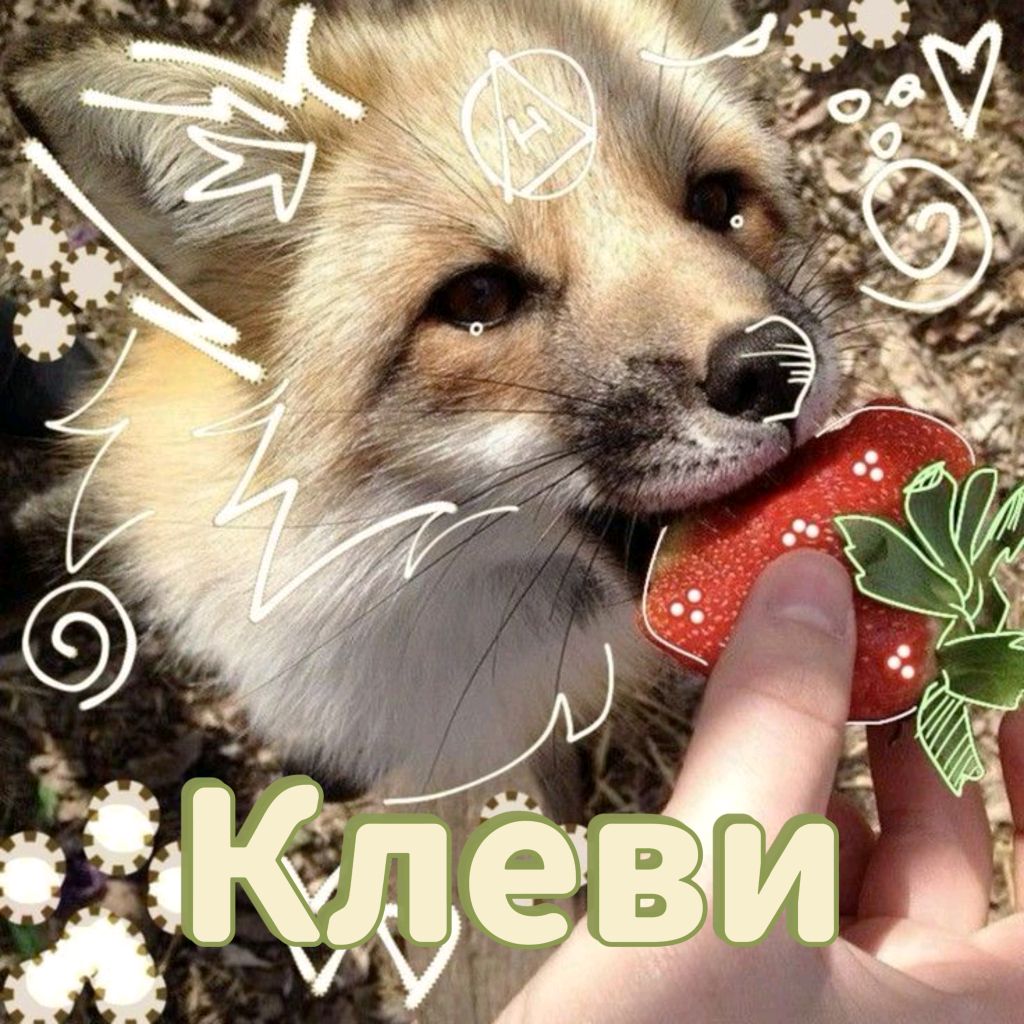 Иконка канала ✰°Клеви°✰