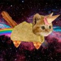Иконка канала 🌈🦄👁️-kitty-👁️🦄🌈