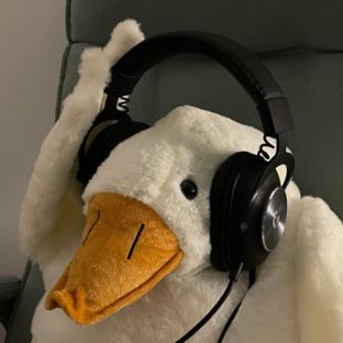 Иконка канала Гусь в наушниках