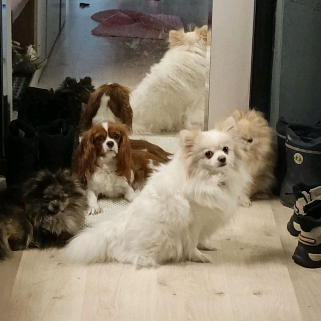 Иконка канала Romonar