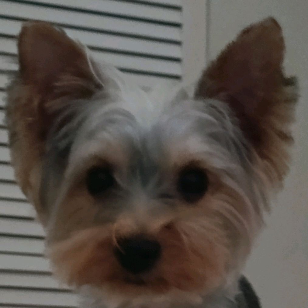 Иконка канала А5_S