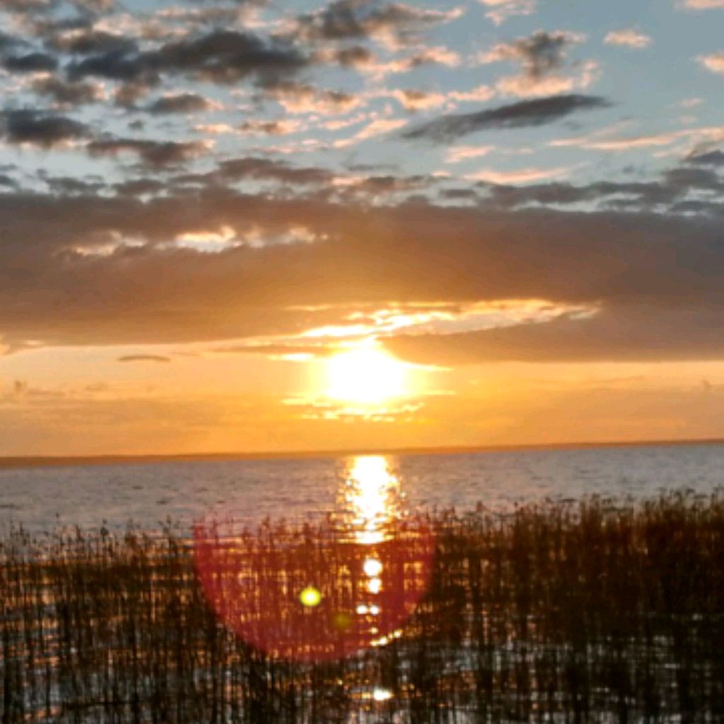 Иконка канала Ангелина