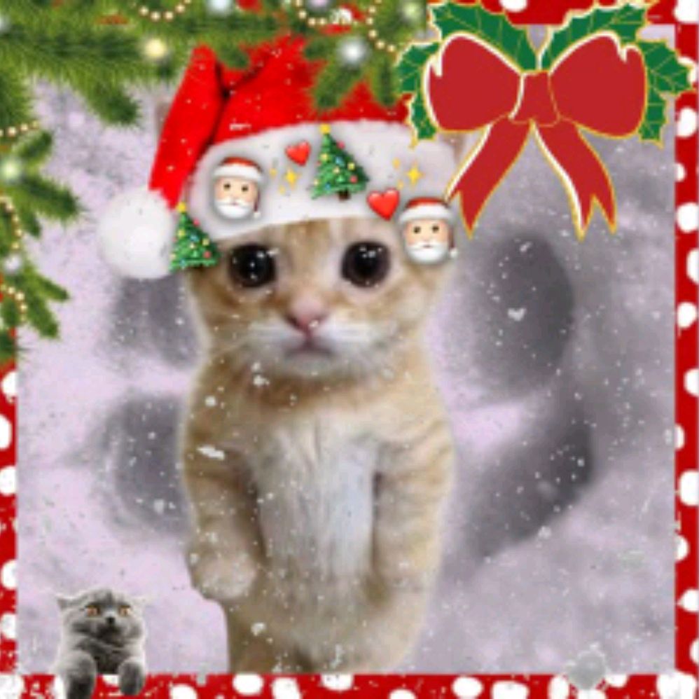 Иконка канала ꧁꧁𝑵erpirulyat꧂꧂