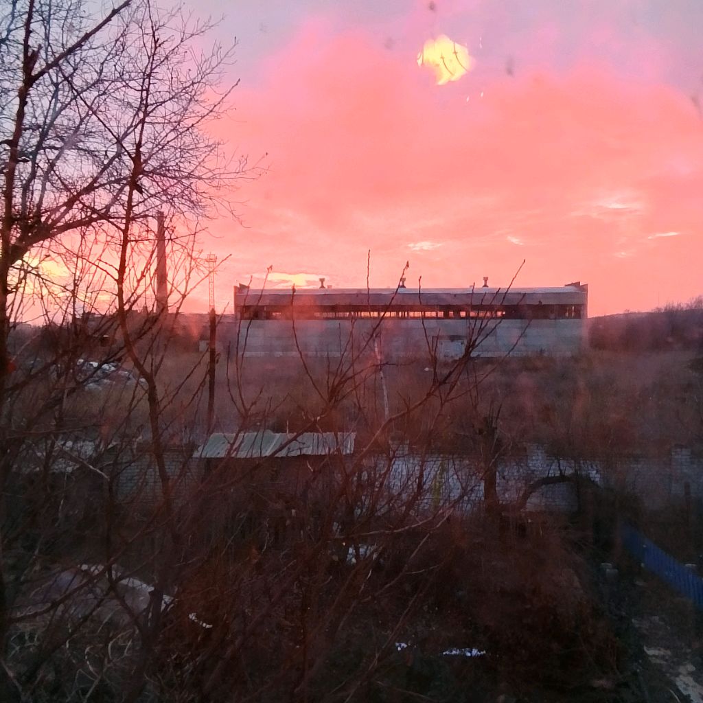 Иконка канала Смешные Котики