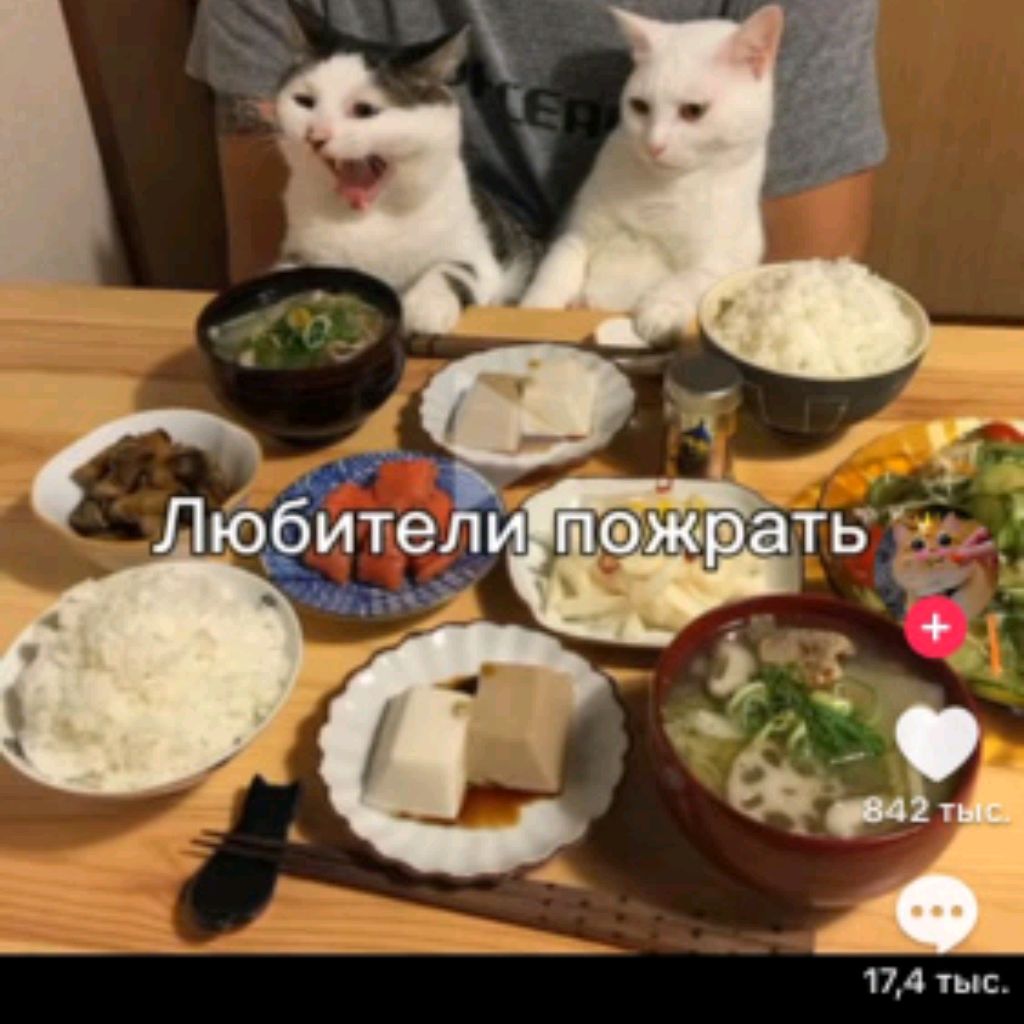 Иконка канала Любитель Пожрать