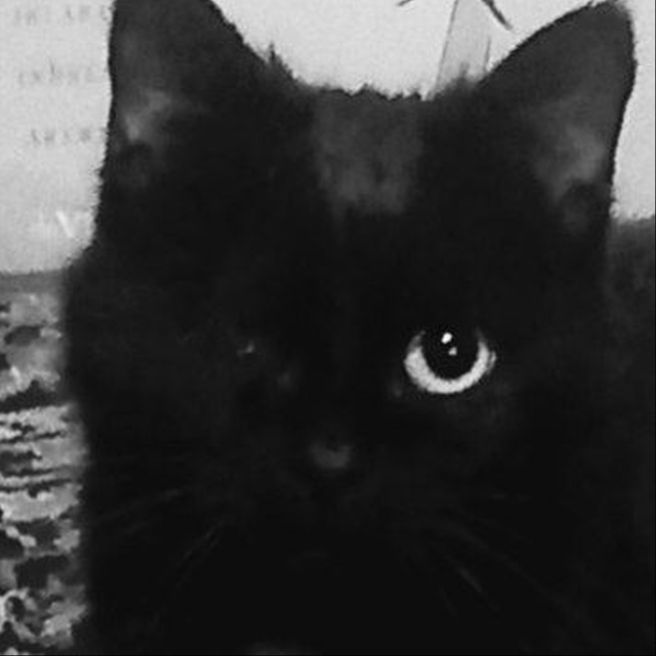 Иконка канала Дикий Век