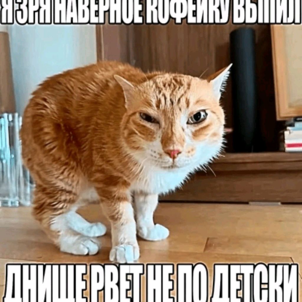 Иконка канала #tvrutub