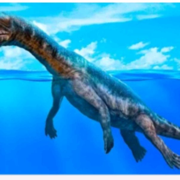 Иконка канала Экстримал