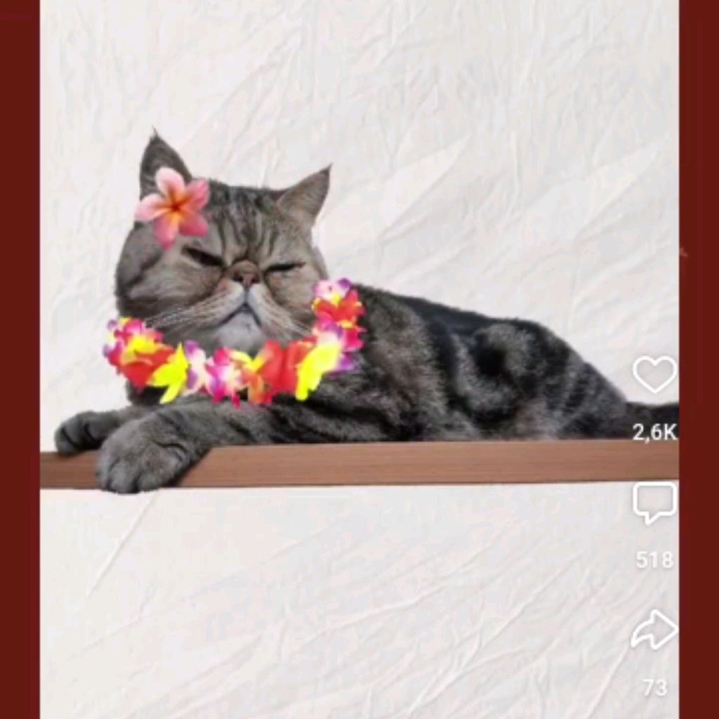 Иконка канала Путешествовать С Ритой Легче