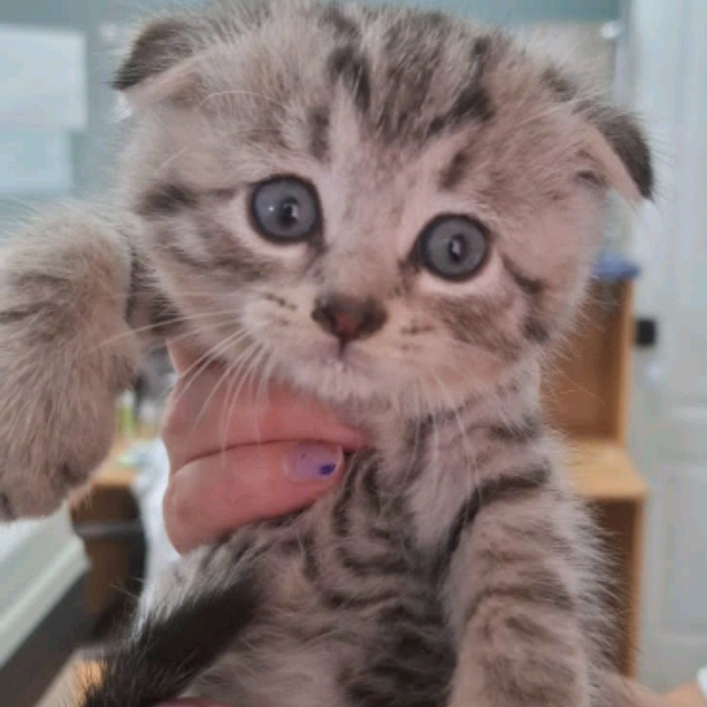 Иконка канала 🥰