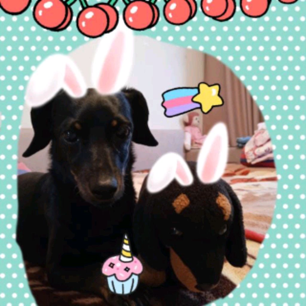 Иконка канала Sanya_Manya