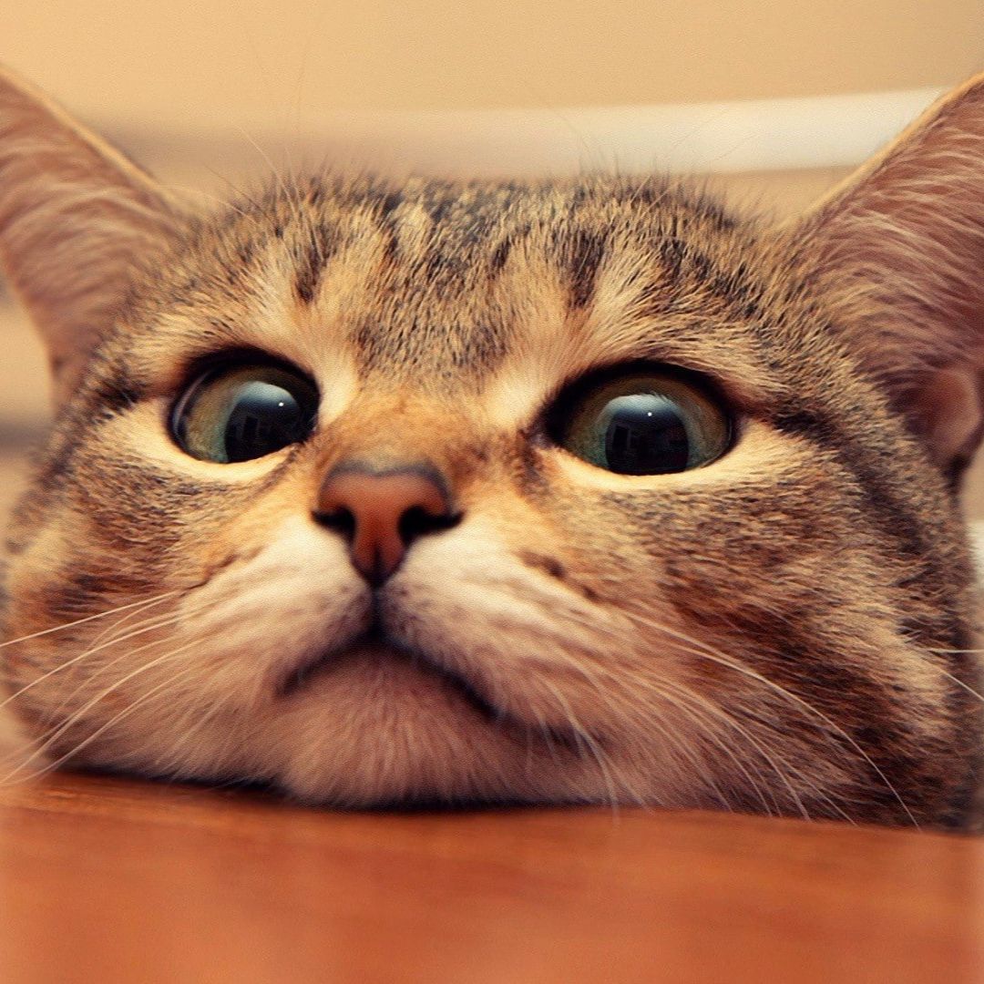 Иконка канала Ex3me17