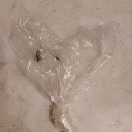 Иконка канала channel74392895