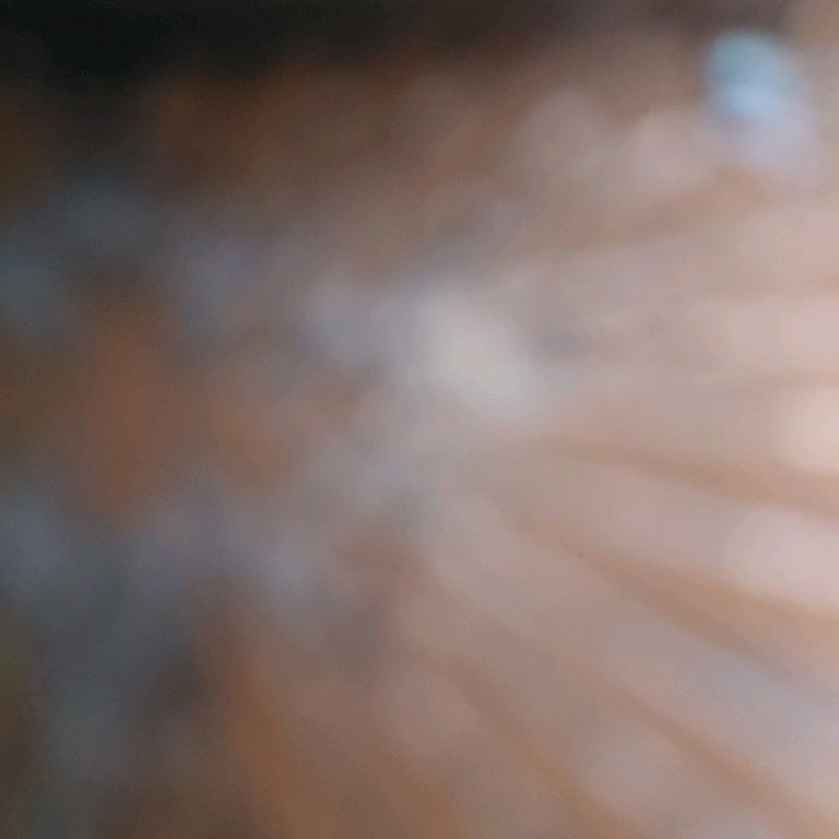 Иконка канала channel74331857 Рваный кед