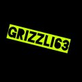 Иконка канала griZZli
