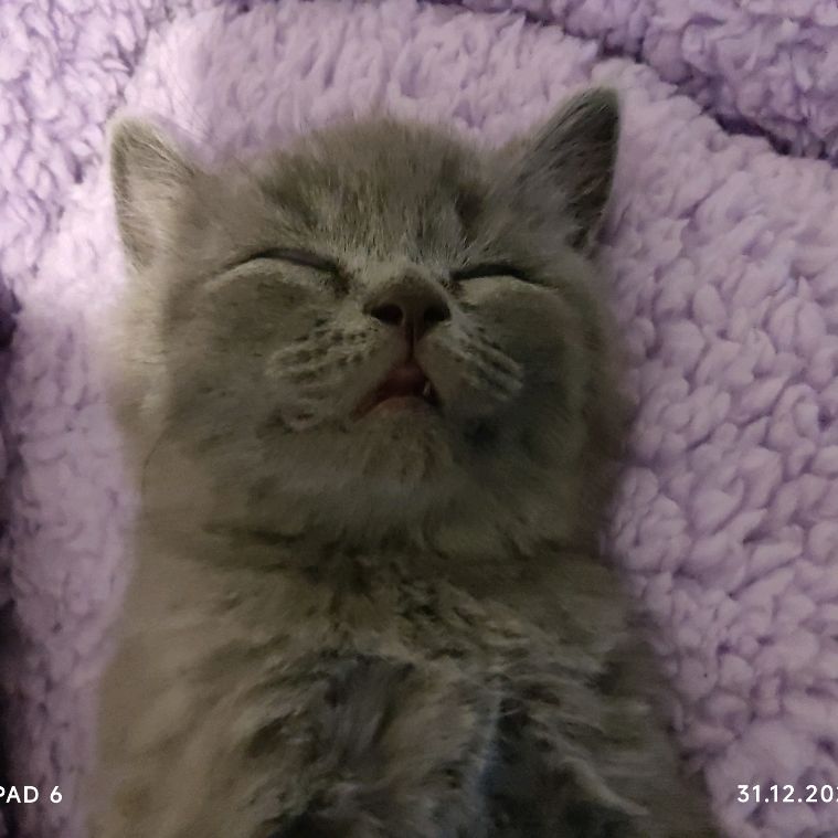 Иконка канала Daniil👍