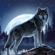 Иконка канала Волчья Стая