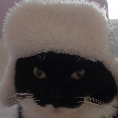 Иконка канала кузя