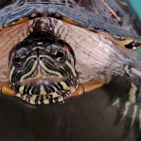 Иконка канала Abakumov_travel