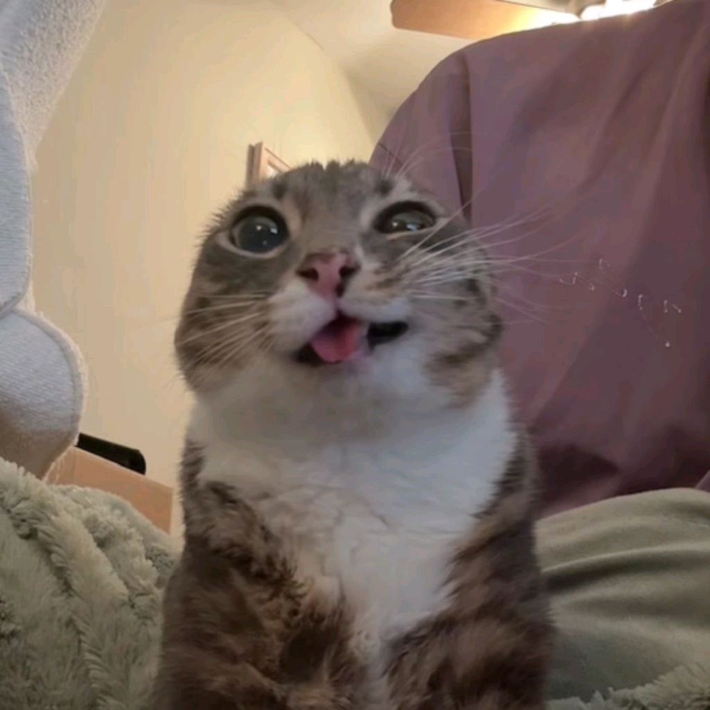 Иконка канала Дихлофосик