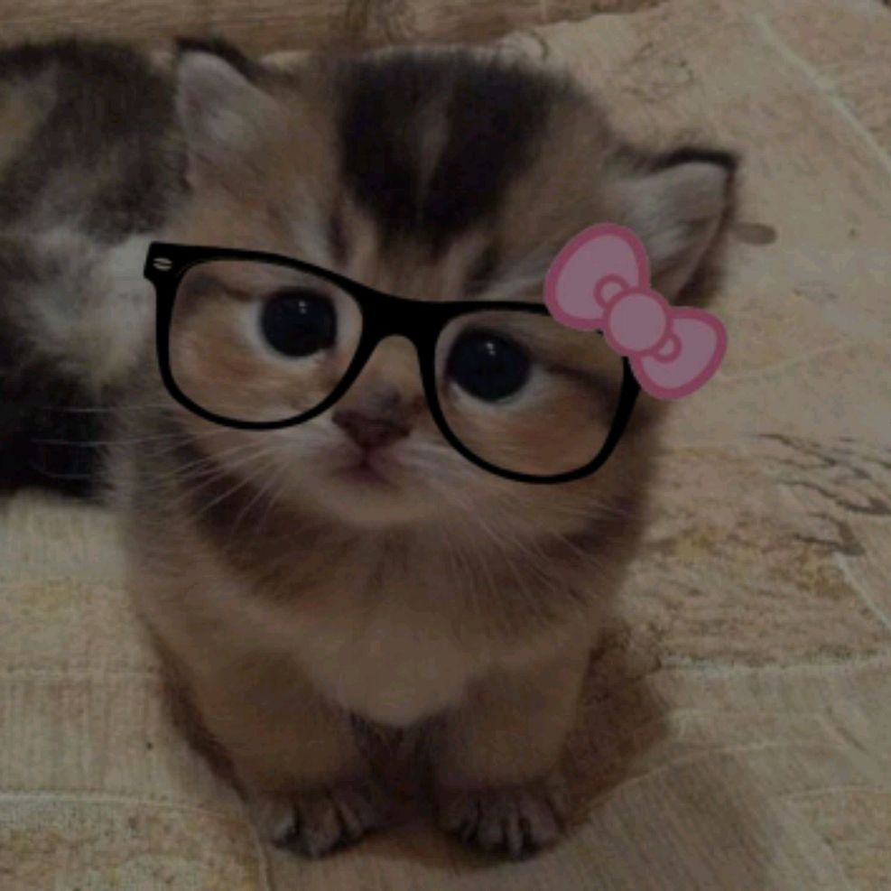 Иконка канала Sasha♡