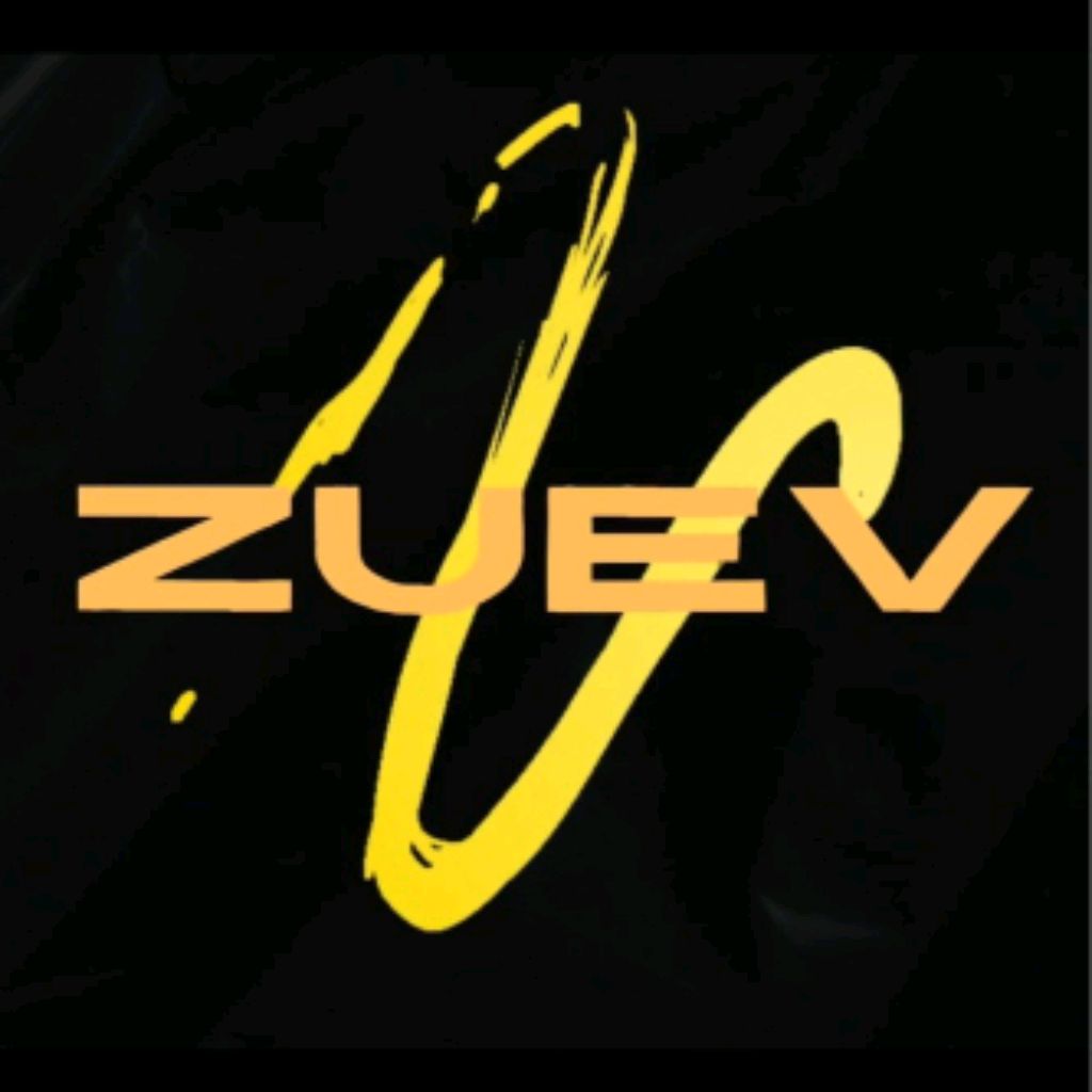 Иконка канала ZUEV