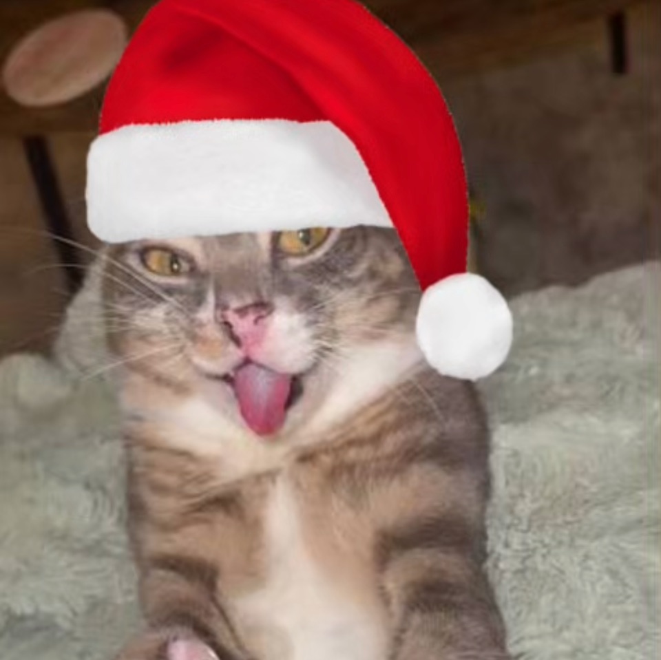 Иконка канала DAMCHIKFILMS.studio.НТ