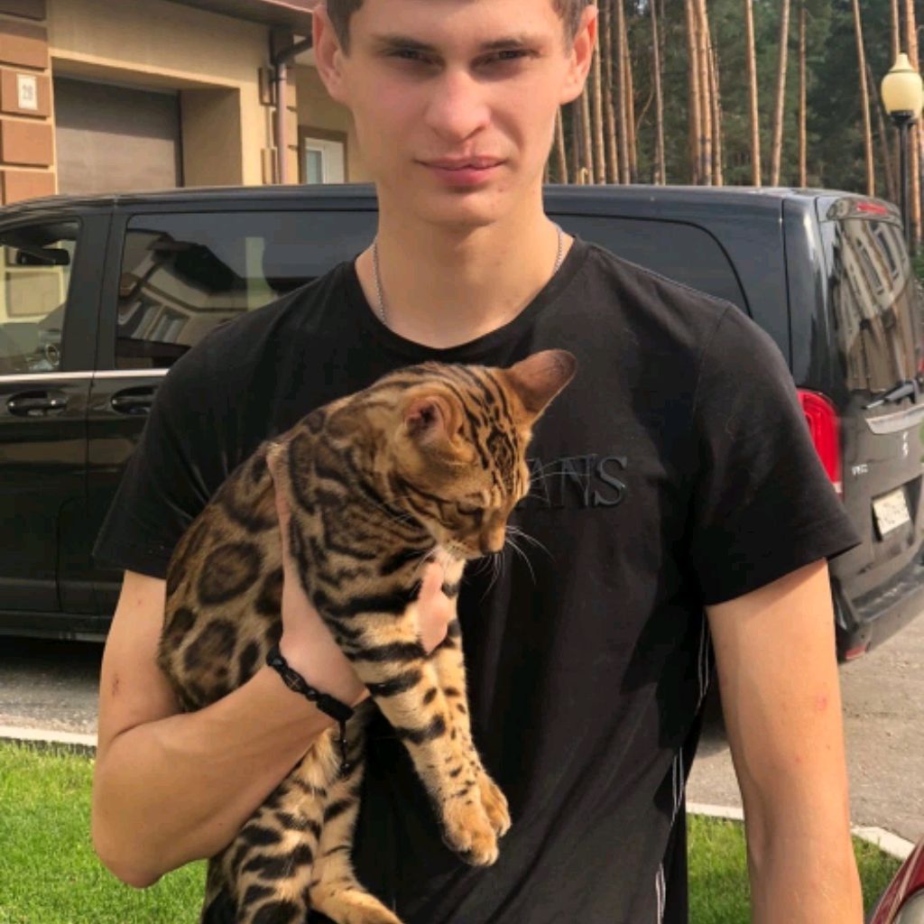 Иконка канала Ilya Izmailov