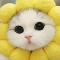 Иконка канала Мурзик тв 2