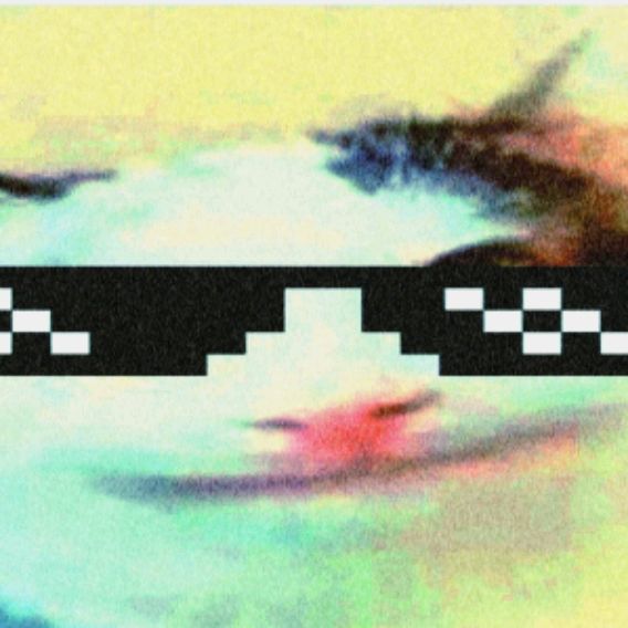 Иконка канала Белуга в мелон плейграунд