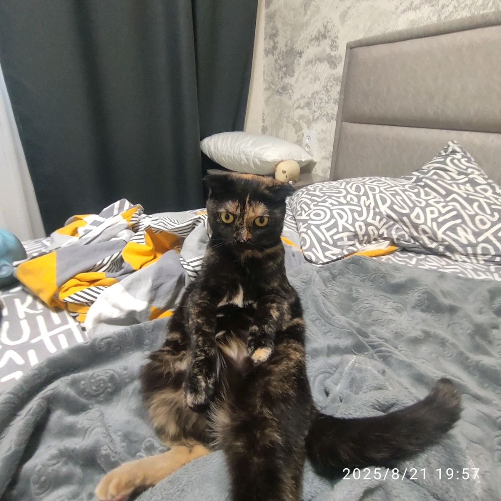 Иконка канала 💐🫶Изабелла🫶💐