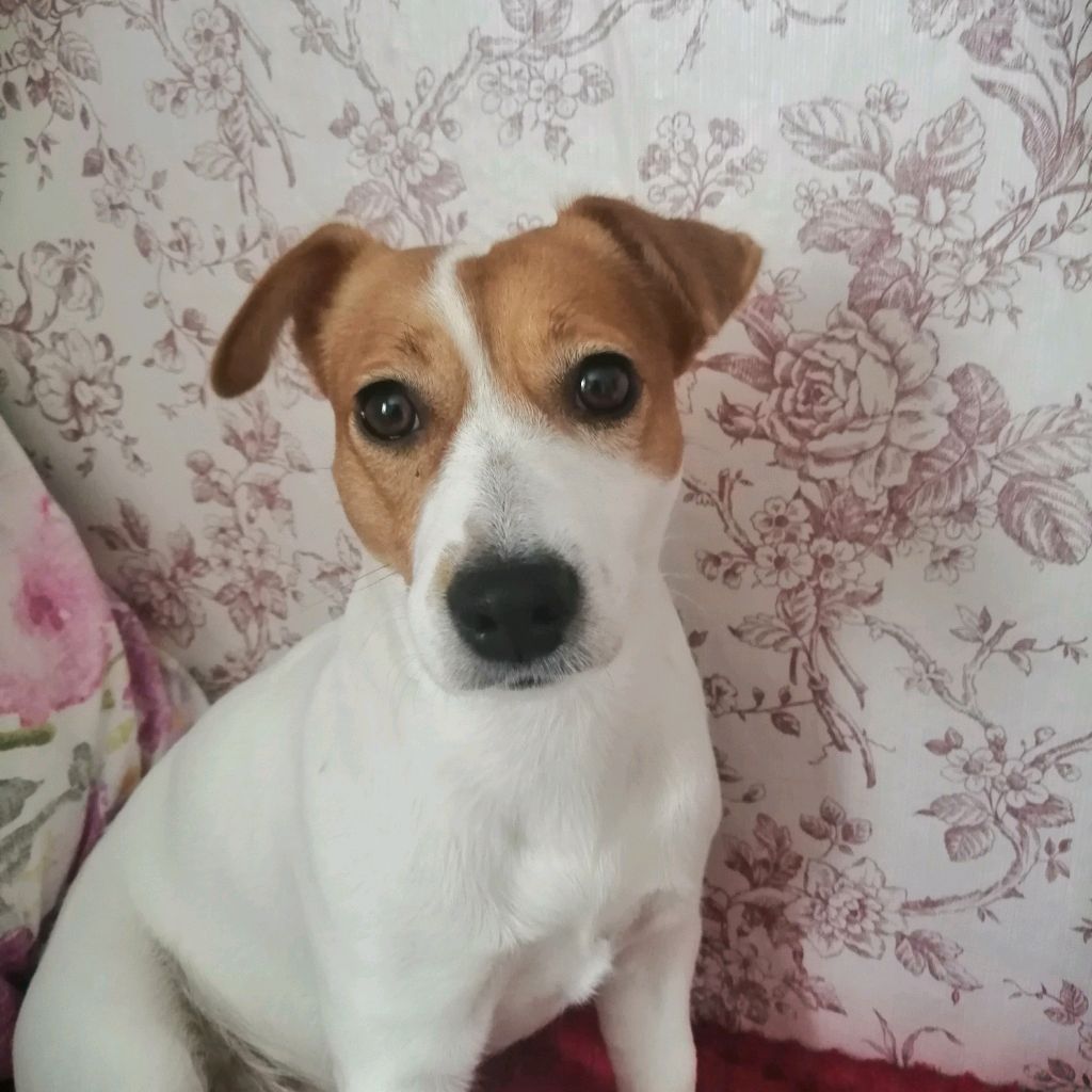 Иконка канала лена