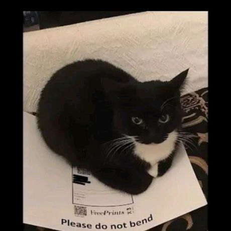 Иконка канала EternalGrase98760