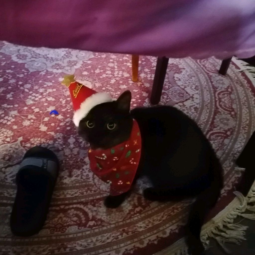 Иконка канала Какатька