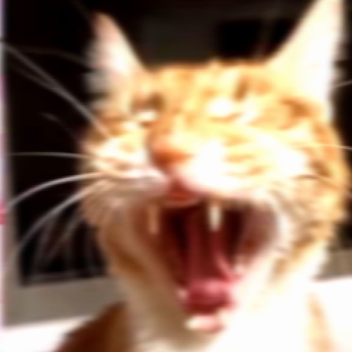 Иконка канала STORE_KITI