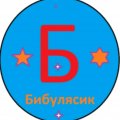 Иконка канала Бибулясик ❤️❤️❤️🇷🇺