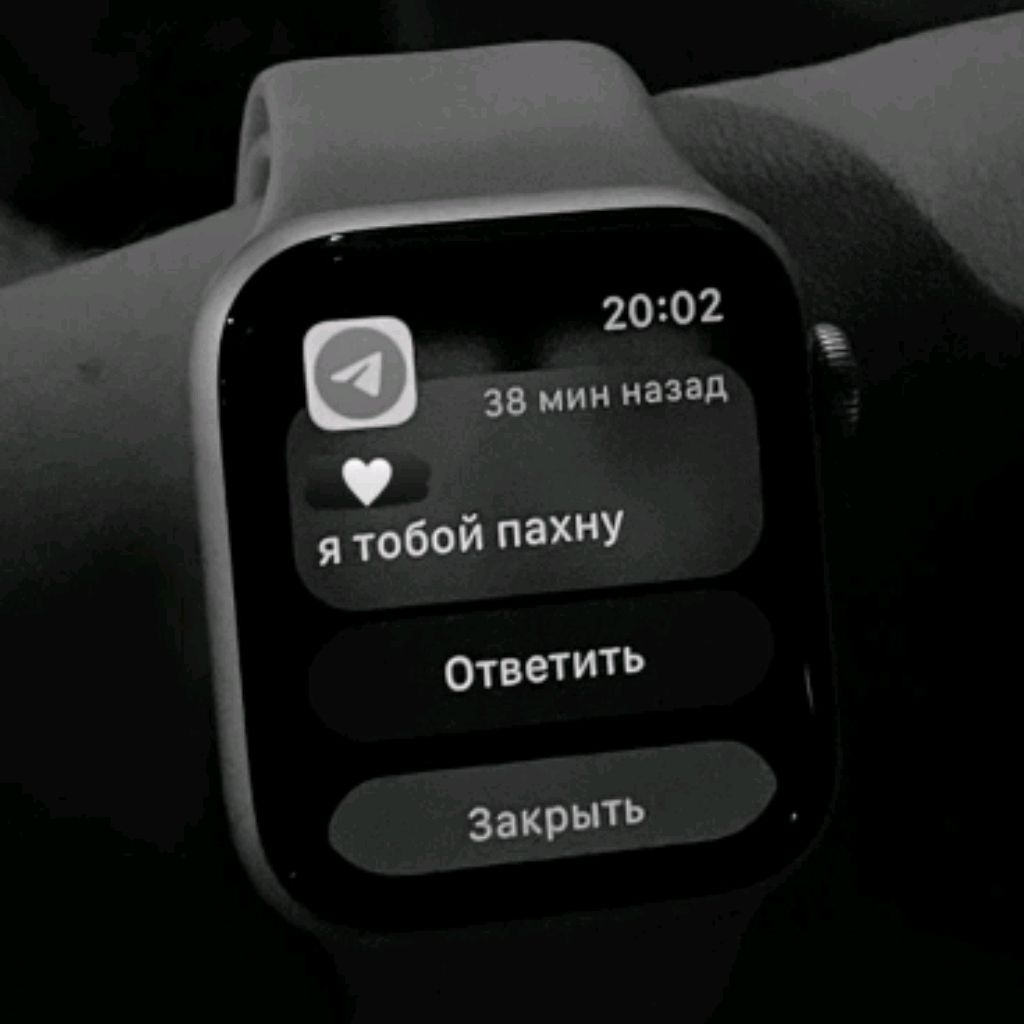 Иконка канала Диша