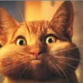 Иконка канала Кот