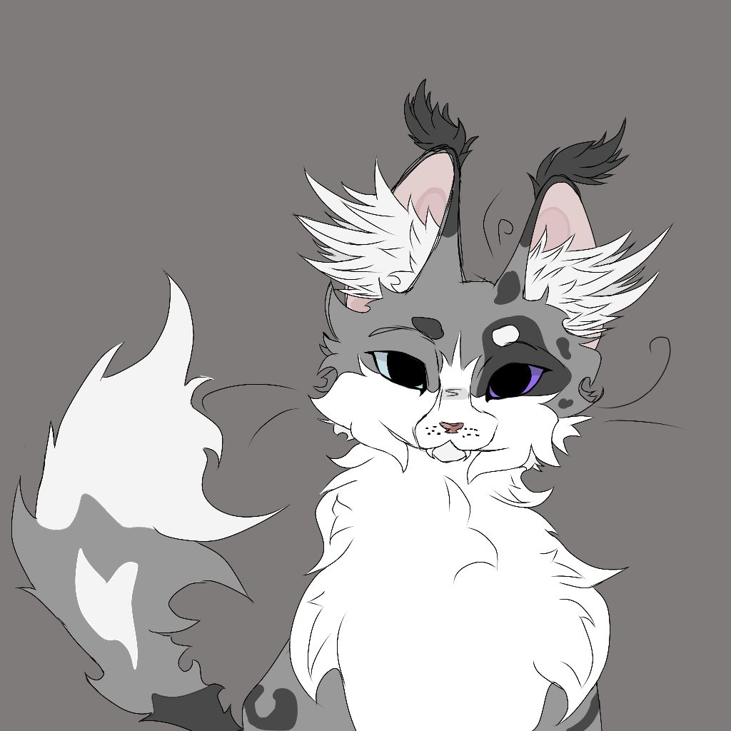 Иконка канала ★*~𝕊𝕚𝕝𝕧𝕖𝕣 𝕎𝕚𝕟𝕕~*☆