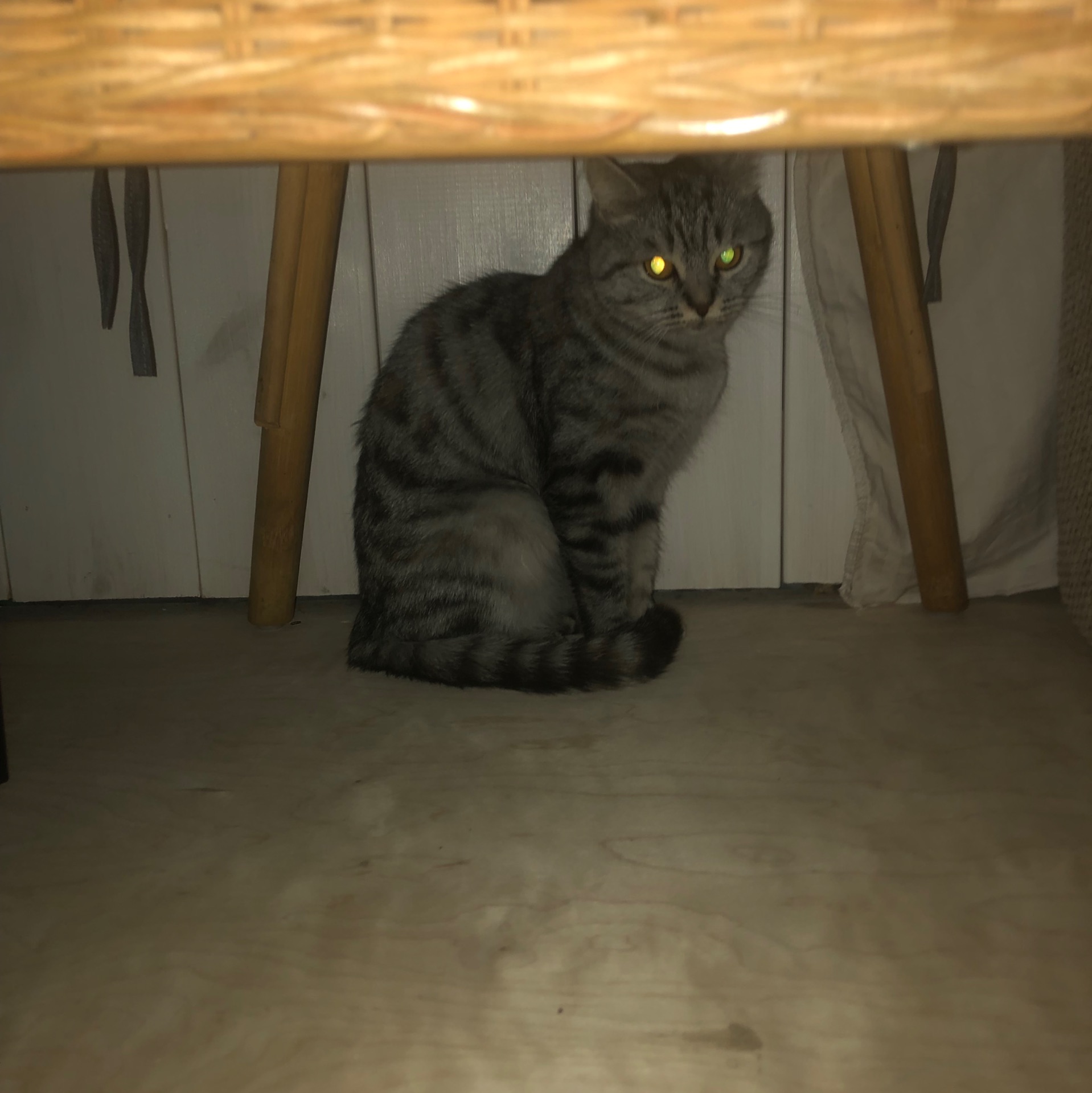 Иконка канала Степанини