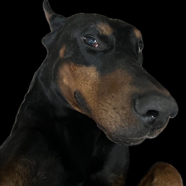 Иконка канала lucky_dober