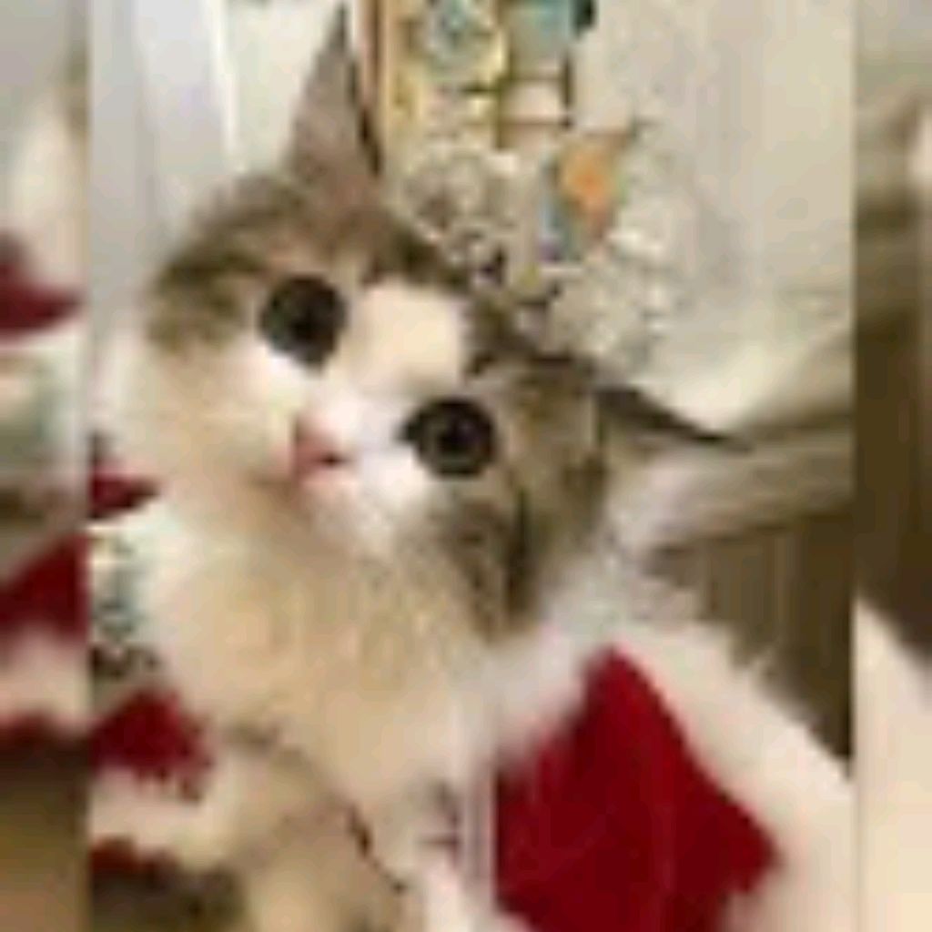 Иконка канала channel74831553